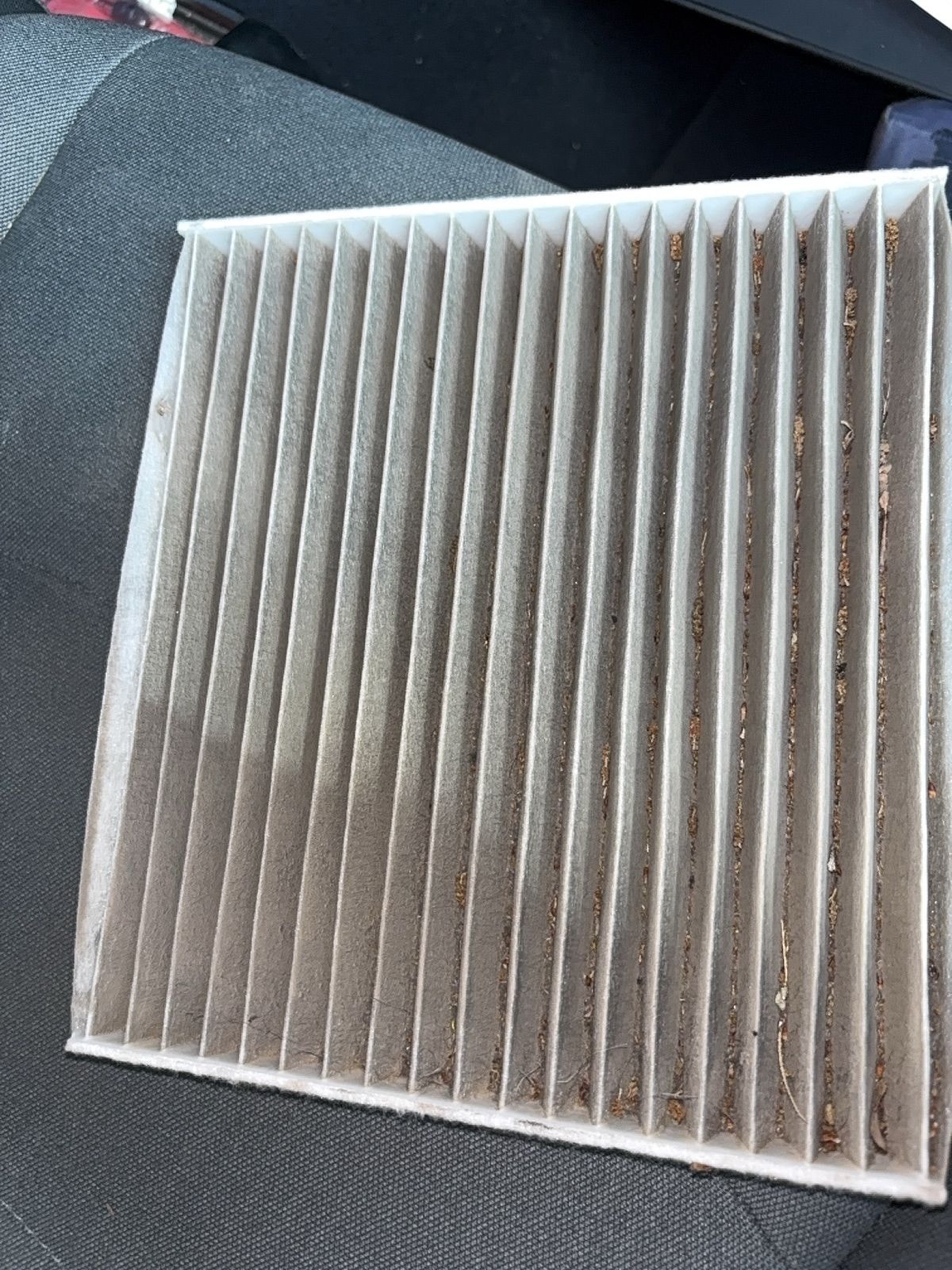 Dirty cabin air filter removed from vehicle — clogged with dust, debris, and leaf particles
